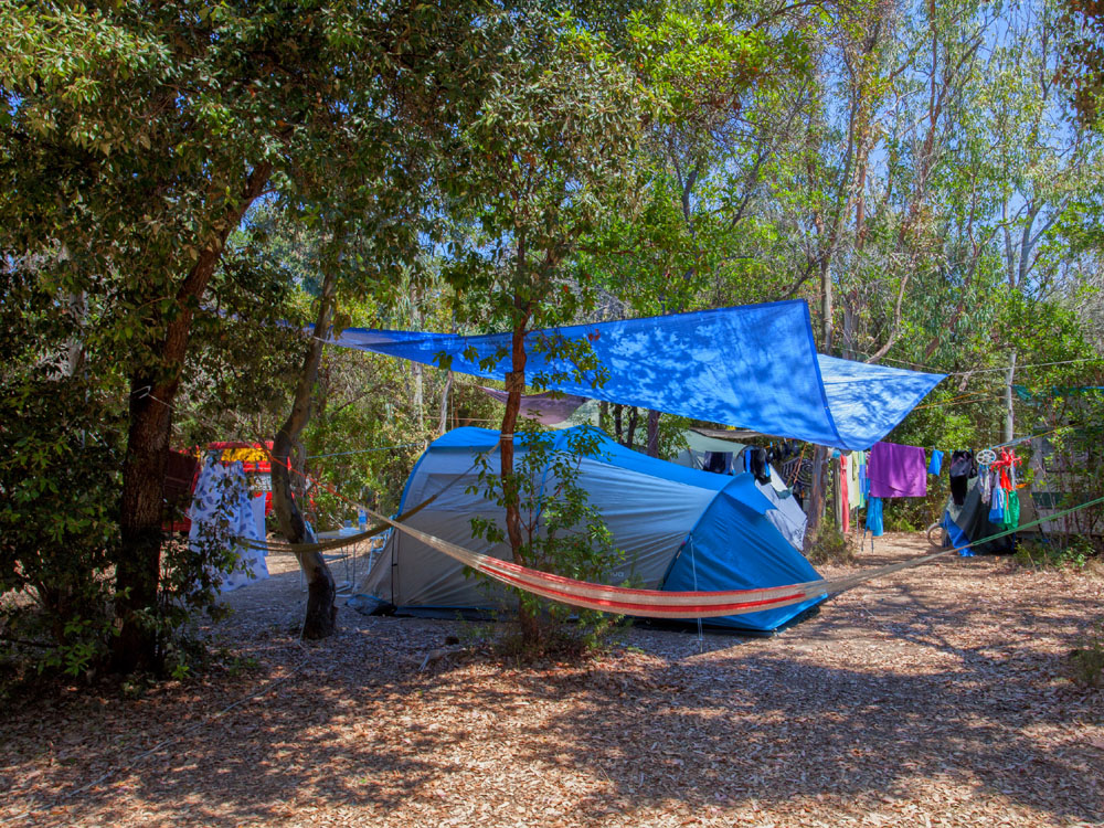 Bagheera Resort